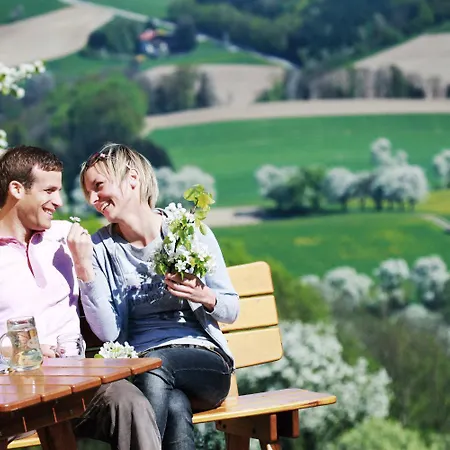 Landhotel Gafringwirt 3*