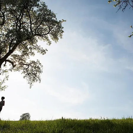 فندق Gafringwirt