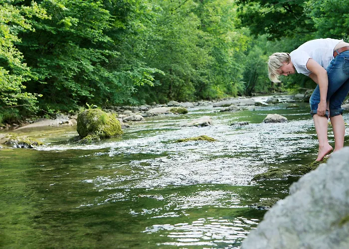 Gafringwirt 3* Euratsfeld